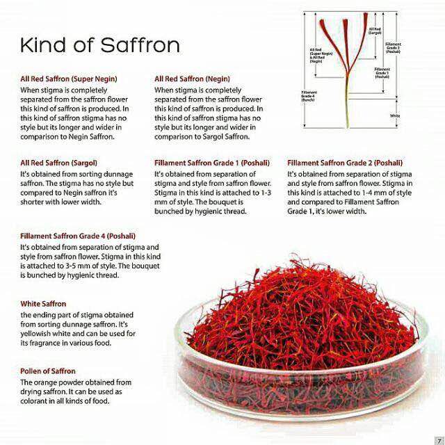 sell saffron in spain best iranian saffron brand Owj Saffron