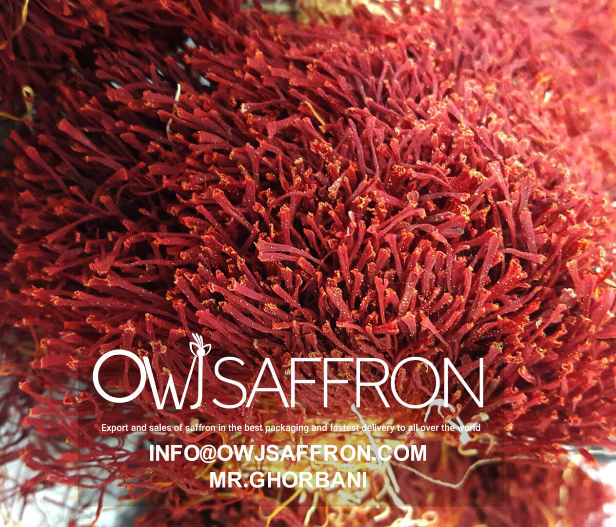 how to sell saffron online best iranian saffron brand Owj Saffron
